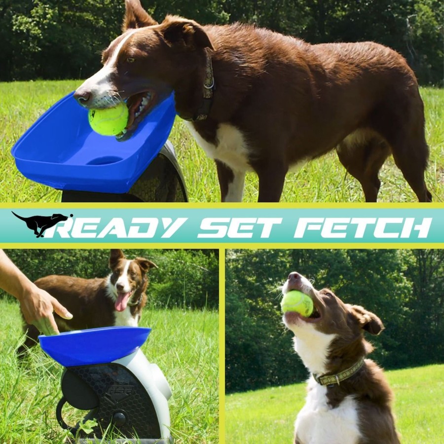 Sports Franklin Sports Outdoor Games | Ready Set Fetch Automatic Ball Launcher